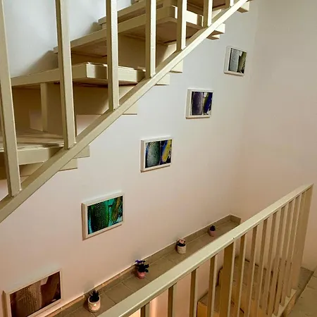 Dadu 14 Pensionat 4*